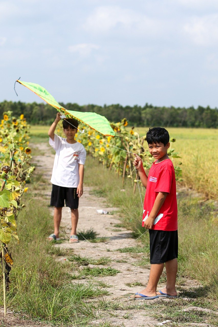 powerpoint-tips-kite-children-pixabay